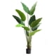 thumbnail image 1 of Planta Decorativa Palmera Sterlitzia 160cm (flor De Pajaro), 1 of 2