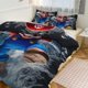 thumbnail image 2 of Super Mario Duvet Cover Set 3 Piece Bedding Set Double Sided Printing Decorative Comforter Cover Set, 2 of 5