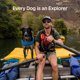 thumbnail image 5 of Chaleco Salvavidas para Perros Ruffwear Float Coat Lirio Púrpura Talla XS, 5 of 9