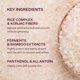 thumbnail image 5 of Exfoliante Facial de Masa de Arroz – Peach & Lily, 5 of 8
