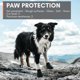 thumbnail image 2 of Botas para perros Non‑stop Dogwear - Pack de 4 (talla mediana), 2 of 6