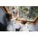 thumbnail image 4 of Calcomanía para Ventana WINDOWALERT con Piña – Prevención de Aves, 4 of 7