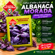 thumbnail image 4 of Semilla Albahaca Morada Las Encinas para Huerto Aromático, 4 of 4