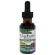 thumbnail image 1 of Arándano Rojo - 10000 Mg, 1 of 3