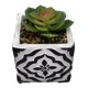 thumbnail image 2 of Planta Artificial Macetero Cerámica Vintage Cubo Cuadrado, 2 of 3