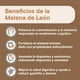 thumbnail image 5 of Melena de Leon 600mg 60 Capsulas NutraCore, 5 of 6