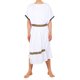 thumbnail image 3 of Disfraz EAWIN Toga romana para hombre con corona de laurel, color blanco, 3 of 9