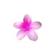 thumbnail image 2 of Clip para Cabello, Flor, 1 Un, 2 of 9