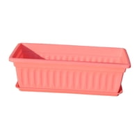 Magideal - Planta De Ventana De Flores , Rosa