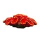 thumbnail image 5 of Resina Coral Artificial Fondo Pecera Plantas Paisajismo Rojo, 5 of 5