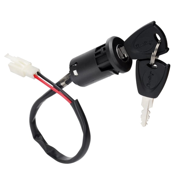 Llave de encendido con cerradura de 2 hilos para triciclo y scooter eléctrico