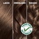 thumbnail image 2 of Coloración  Garnier Nutrisse Cabello 61 Centeno, 1 Un, 2 of 7