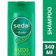 thumbnail image 2 of Shampoo Rizos Definidos x 340 mL Shampoo, 2 of 2