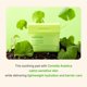 thumbnail image 2 of Pads Tonificantes Papa Recipe Real Centella Cica 80 Hojas, 2 of 8