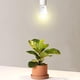 thumbnail image 4 of Bombilla Grow Light Wiyifada A19 de espectro completo de 9 W para plantas de interior, 4 of 7