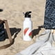 thumbnail image 2 of Botella deportiva Sandías, 2 of 2
