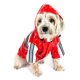 thumbnail image 3 of Impermeable para lluvia para perro Reflecta-Glow de Pet Life, chaqueta de PVC impermeable, 3 of 8