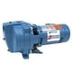 thumbnail image 1 of Bomba de chorro para pozos poco profundos Goulds J10S, 1 HP, 115/230 V, 60 Hz, 1 of 1