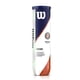 thumbnail image 1 of Tarro de Pelotas de Tenis Wilson Roland Garros Clay X4, 1 of 2