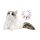 thumbnail image 3 of Gato Ragdoll, Animal relleno, gato de juguete de peluche, gatito, juguete de peluche, muñeco de gato realista, compañero para niños, niñas, amantes de Pañuelo gato rosa, 3 of 5