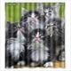 thumbnail image 1 of Cortina de ducha con diseño de gatitos esponjosos, juego de cortinas de baño con ganchos, tamaño 66 x 72 pulgadas, 1 of 3