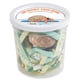 thumbnail image 4 of 2 Cangrejos Ermitaños Vivos con Comida y Conchas - Nature Gift Store, 4 of 9