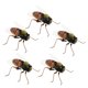 thumbnail image 4 of 5 Uds Simulación De Insecto Artificial Modelo Ni?os Juguetes Educativos Abeja, 4 of 5
