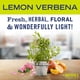thumbnail image 2 of Jabón líquido para platos Mrs. MEYER'S CLEAN DAY Lemon Verbena 480 ml, paquete de 3, 2 of 4