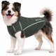 thumbnail image 1 of Playera tipo tank top para perro Pet Life ® Active Racerbark, 1 of 9