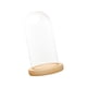 thumbnail image 5 of Cúpula De Cristal Transparente Cloche Casa De Muñecas Decoración Ornamento DIY Cúpula Transparente Cloche 12cmx18cmx14cm, 5 of 5