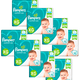 thumbnail image 2 of Pack x8 Pañales Pampers Confort Sec XG 128 pañales, 2 of 2