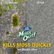 thumbnail image 5 of Moss Out Spray Lilly Miller 800 ml natural orgánico, 5 of 9