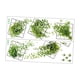 thumbnail image 1 of 2x 3D Plantas Vívidas Rejilla Calcomanía De Pared PVC Para Decoración De Pared Sala De Estar Estilo B, 1 of 5
