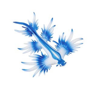 Magideal - Modelo Realista De Figuras De Animales De Babosas Marinas, Juguetes Educativos, Estatuilla De Animales, Juguete Educativo Científico Para Niños Y Niña