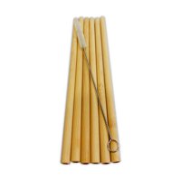 Plant B - Set De Bombillas De Bambú + Limpiador 6Un.