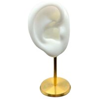 Magideal - Soporte De Exhibición De Pendientes Soporte De Perno En Forma De Oreja Decoración De Mesa Herramientas De Enseñanza Estante De Almacenamiento Estable , Blanco Derecho Blanco Derecha