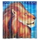 thumbnail image 1 of Cortina de ducha de El Rey León, juego de cortinas de baño con ganchos, tamaño 60 x 72 pulgadas, 1 of 3
