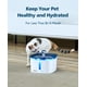 thumbnail image 5 of Filtros De Repuesto Y Esponjas De Prefiltro Para Fuente De Agua Cat, 5 of 7