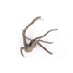 thumbnail image 3 of Decoración para acuario LANDEN Spider Wood 30‑40 cm, 4 piezas, 3 of 7
