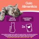 thumbnail image 4 of Alimento Húmedo Gato Adulto Jelly Sabor Carne Pouch, 85 g, 4 of 5