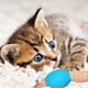 thumbnail image 2 of Set 3 Juguetes Cuerda Goma Pelota Perro Gatos Mascotas Lau, 2 of 3