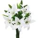 thumbnail image 1 of Paquete de 5 flores artificiales de lirio de tacto real, flores falsas para boda, hogar, fiesta, jardín, tienda, oficina, decoración de flores de lirio de plástico falso., 1 of 7