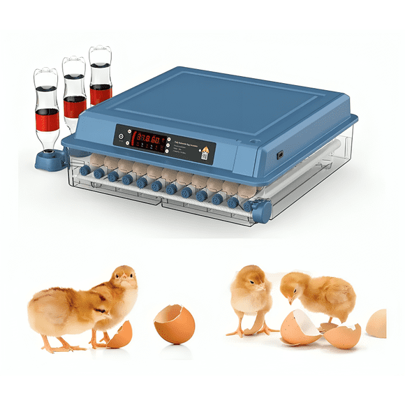 Incubadora 50w Digital Automática 36 Huevos