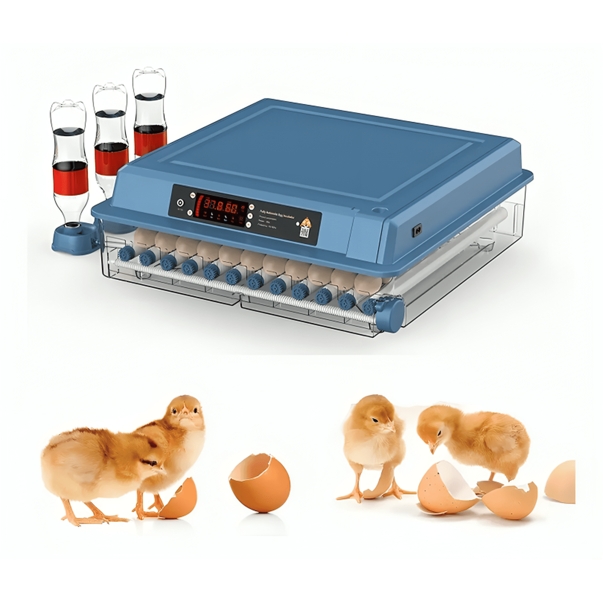 Incubadora 50w Digital Automática 36 Huevos