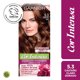 thumbnail image 1 of Coloración Cabello 5.3 Castaño Claro Dorado, 1 of 1