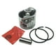 thumbnail image 1 of Kit De Pistón De Meteorito De Piezas De Motosierra Para STIHL MS211, MS211C-BE/Z/C-BE Z, 1 of 3