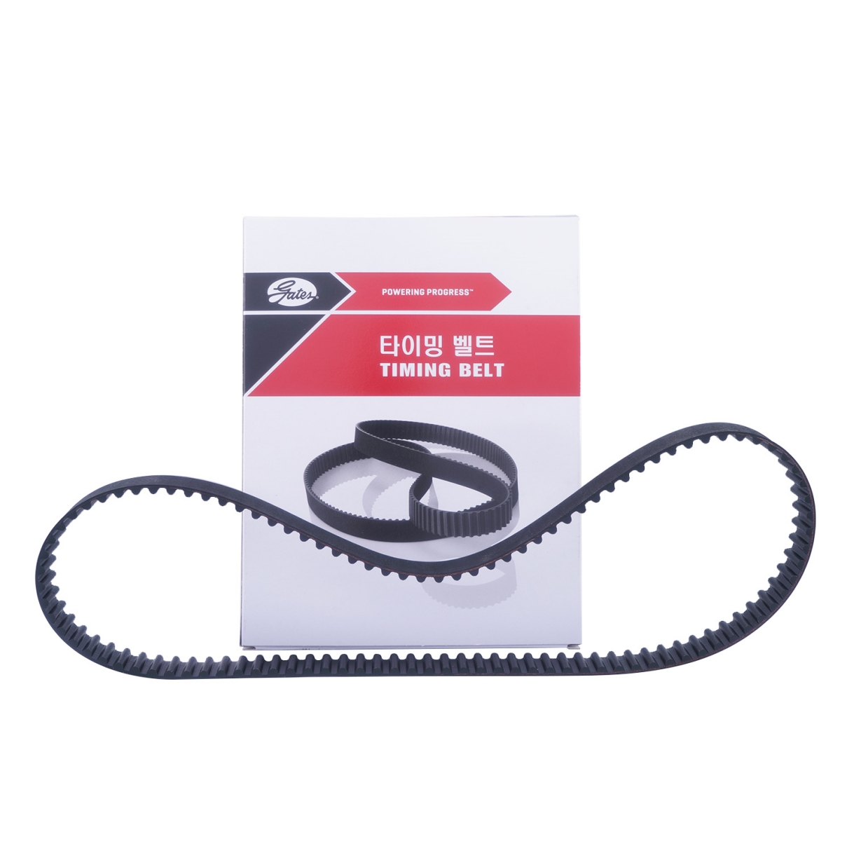 Repuestos Del Sol - Correa Distribucion Hyundai Accent New 1.6 2006 2011