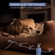 thumbnail image 5 of Lima eléctrica para uñas de perro Candure, hasta 6 velocidades, para perros y gatos, azul, 5 of 8