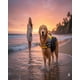 thumbnail image 1 of Chaleco Salvavida para Mascota talla M, 1 of 6