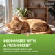thumbnail image 4 of Spray de aseo para mascotas Vetoquinol Groom Aid 215 ml, aroma fresco, 4 of 8